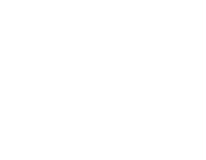 Canine Therapy for First Responders